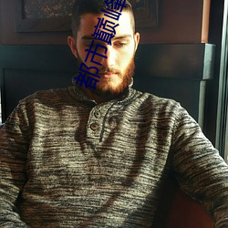 都市巅峰高(gāo)手