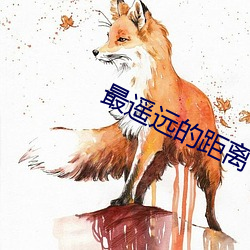 最遥(遙)远的距(距)离