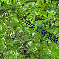 金年会(中国)官方网站