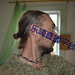 乐嗨直播平(png)台