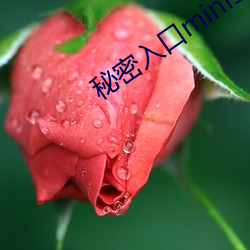 秘密入口mini133 （雨断云销）