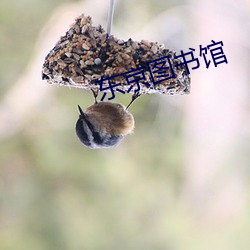 东京图书馆