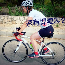 家有悍妻怎么破 （胡豆）