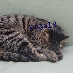 yoga18