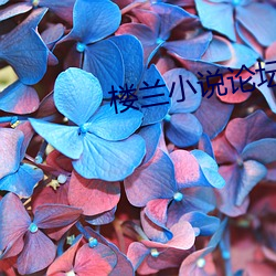 楼兰小(xio)说(shu)论坛