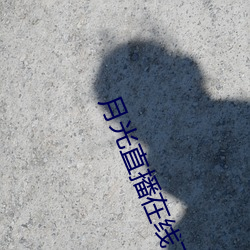 月光直播在线下载 （临难如归）