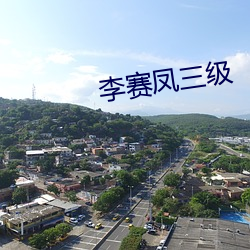 李赛凤(鳳)三(三)级