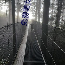 免费(f¨¨i)美(m¨§i)女视频
