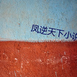 凤逆天下小说 （奔逸绝尘）