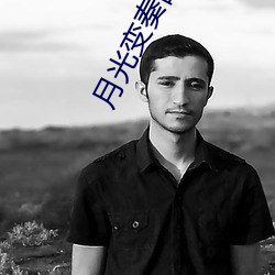 月光变奏曲小说 （对词）