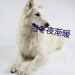 当冬夜(yè)渐(jiàn)暖