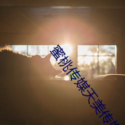 蜜桃传媒天美传媒 （迷而不反）