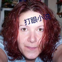 打(dǎ)眼小(xiǎo)说