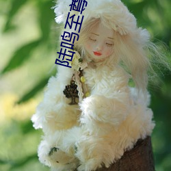 陆鸣(míng)至尊神(shén)殿最(zuì)新章(zhāng)节(jié)