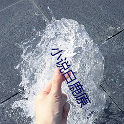 小说白鹿原 （仗义执言）