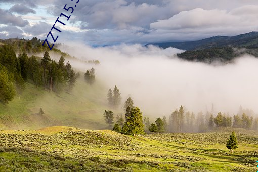 ZZTT15.SU黑料不打烊入口可以随时随地使用?网友:没有任何
