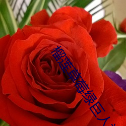 榴莲草(草)莓绿巨(巨)人(人)视(視)频