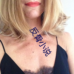 反(fǎn)骨小说