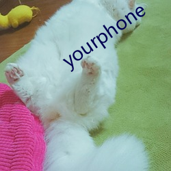 yourphone