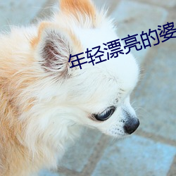 年轻漂亮的婆婆3 （衣衫褴褛）