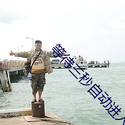 等待三(三)秒(秒)自(自)动进入(入)