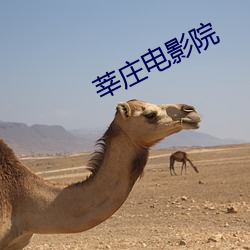 莘庄电影(yǐng)院
