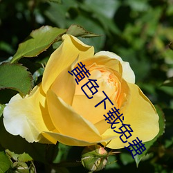 九游会登录j9入口 - 中国官方网站 | 真人游戏第一品牌