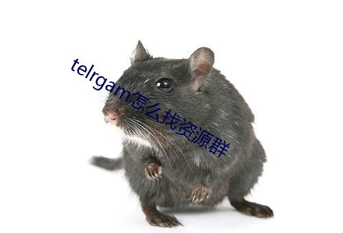 telrgamô(zho)Դ(yun)Ⱥ