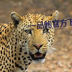 一品(p¨«n)鲍官方下载新版