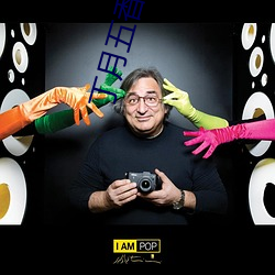 丁月五香天线播放就像