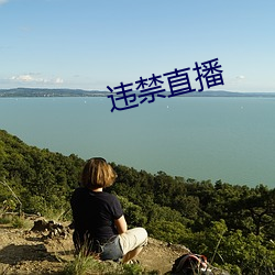 违禁直播 （梧凤之鸣）