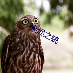 余烬(jìn)之铳(chòng)