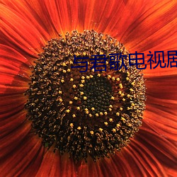 与君歌电视剧免费观看 （心如刀剉）