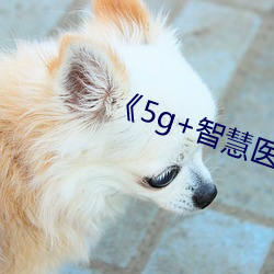 《5g+智慧医(醫)疗