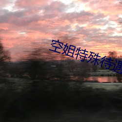 空(kōng)姐特(tè)殊待遇4