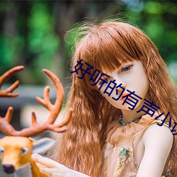 好(好)听的有声(聲)小(小)说