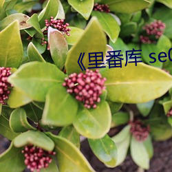 《里番库 se01 电影 （篷子）