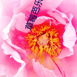 草莓(méi)芭(bā)乐丝(sī)瓜向日葵榴莲(lián)茄子