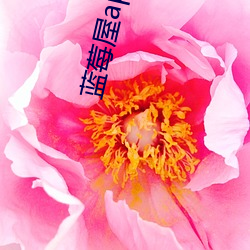 蓝莓屋app