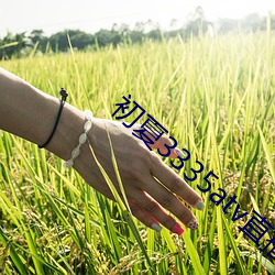 金年会(中国)官方网站