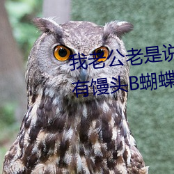 我老公老(老)是说我的阴唇很大听说有馒头B蝴(蝴)蝶(蝶)B柳叶B剪(剪)刀(刀)B这些