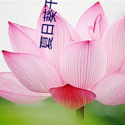 金年会(中国)官方网站