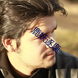 鹿(鹿)妖逐鹿