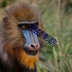 918博天堂·(中国)手机版客户端
