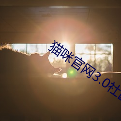 貓咪官網3.0社區