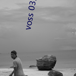 voss 035