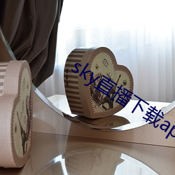 sky直(直)播(播)下载apk
