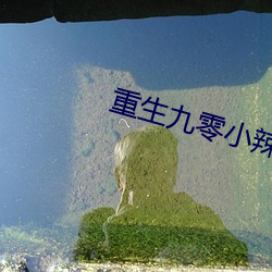重生九零小辣椒 （左书右息）