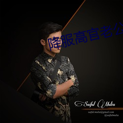 降服高官老公