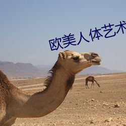 歐美人體藝術照
